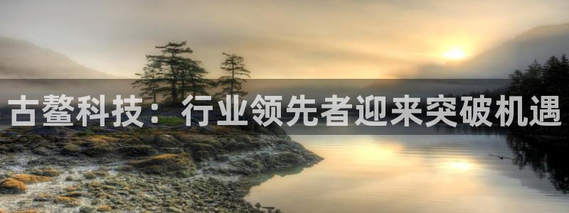 古鳌科技：行业领先者迎来突破机遇