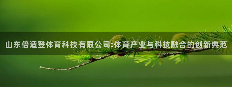山东倍适登体育科技有限公司:体育产业与科技融合的创新典范