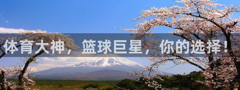 体育大神，篮球巨星，你的选择！