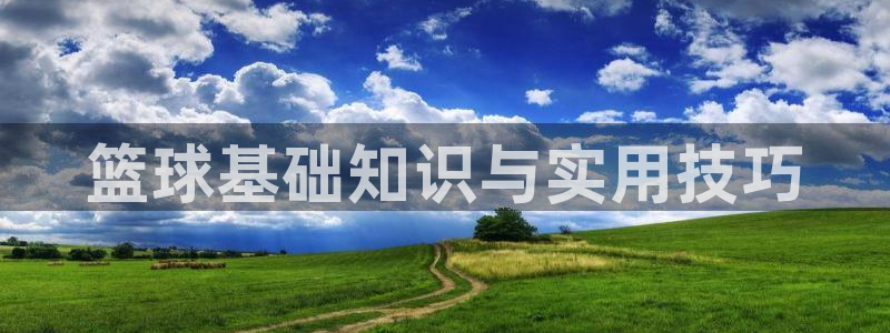 篮球基础知识与实用技巧