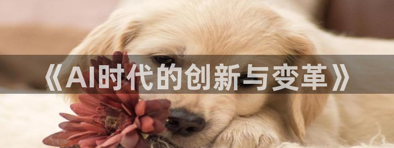 《AI时代的创新与变革》